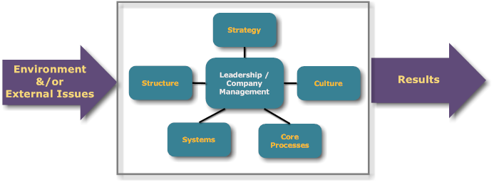 Context of the Organization
